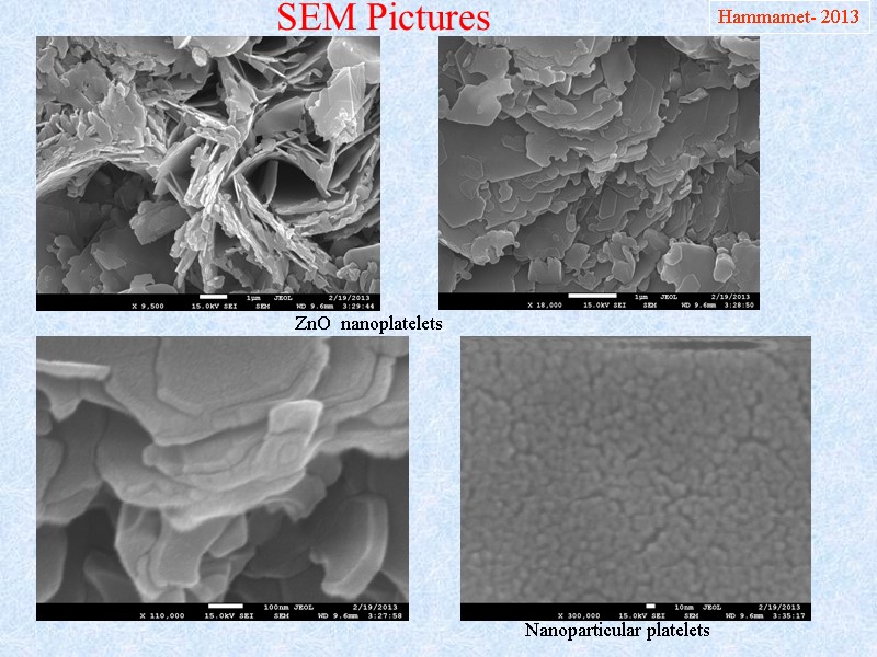 SEM Pictures Hammamet- 2013 ZnO  nanoplatelets Nanoparticular platelets